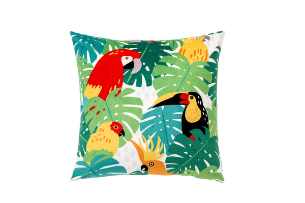Tropical Birds