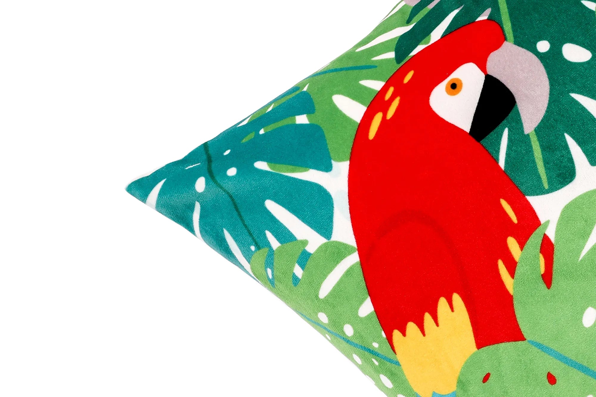 Tropical Birds
