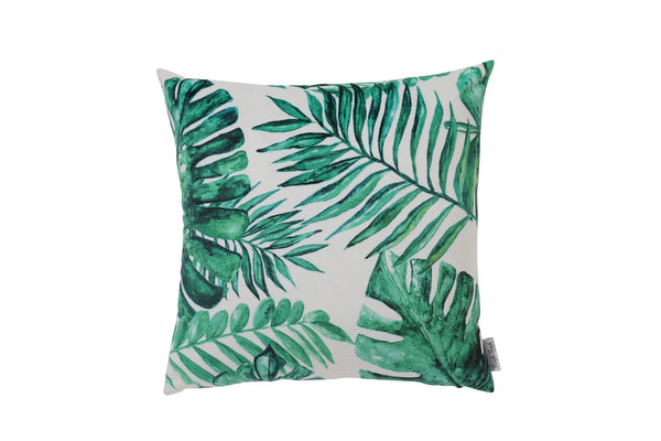 Tropical Assorted