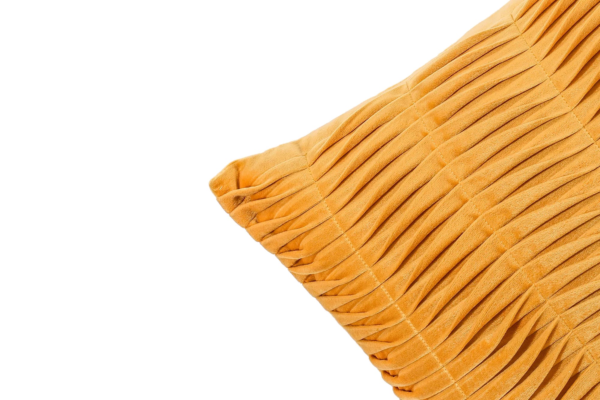 Maize
