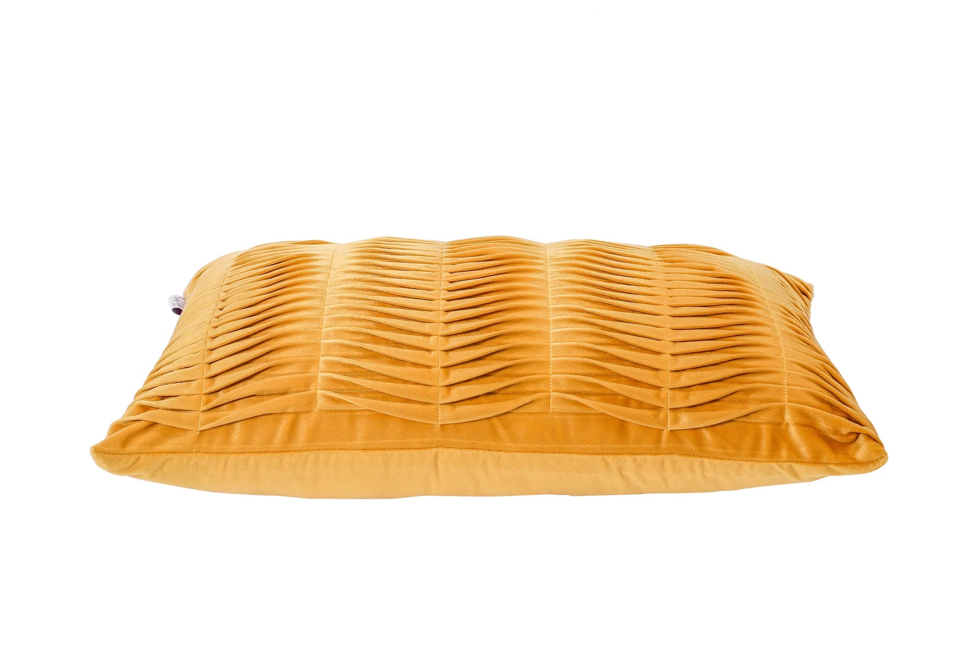 Maize