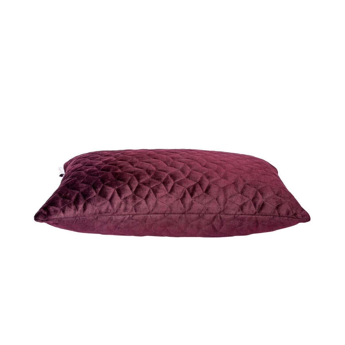RASPBERRY – Purple Patch Studio